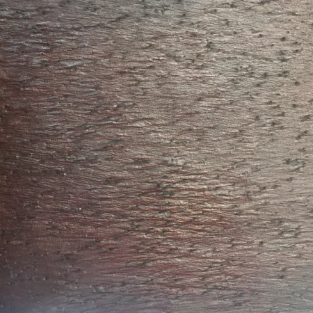Каменный шпон Slate-Lite Cobre NEW (Кобрэ Нью) 240x120см (2,88 м.кв) Слюда